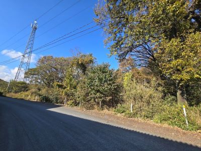 井原市芳井町天神山 土地