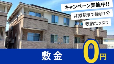 井原市七日市町 シュクルＢ203号室